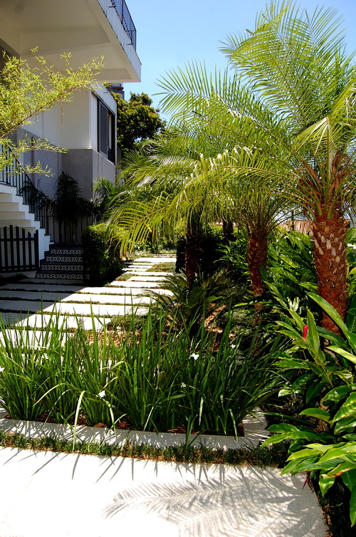 Main+entrance+level+garden+3