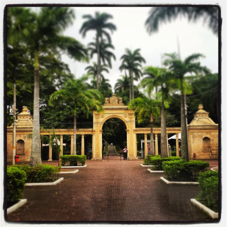 B. gardens