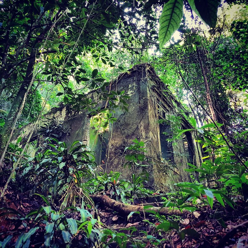 Tijuca National Forest (1)