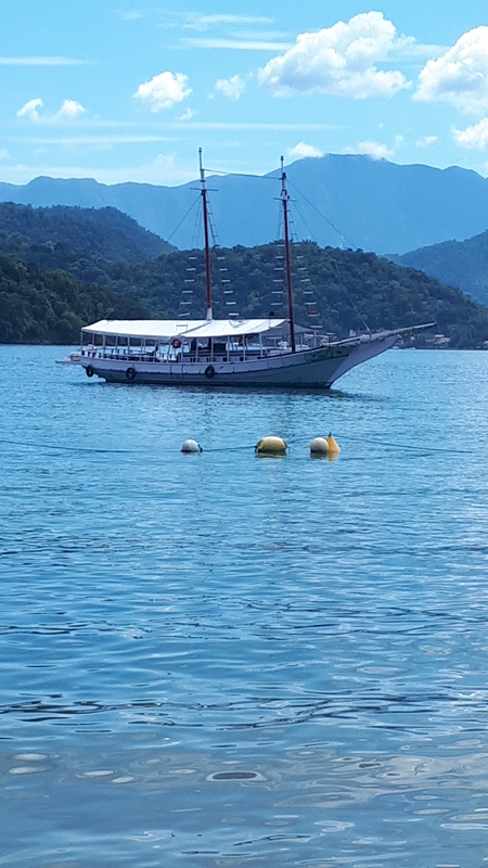 divesao (1)